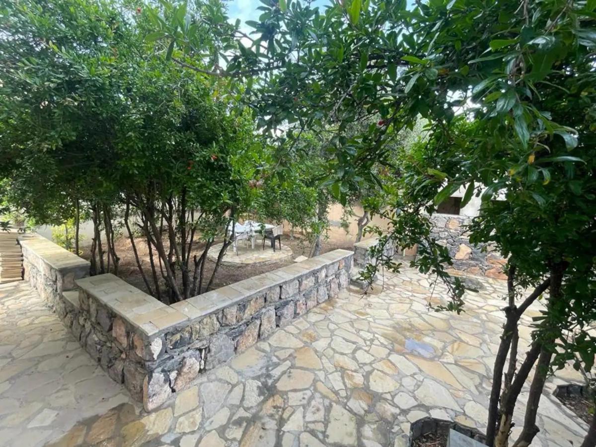 Rose Guesthouse Al 'Aqar Eksteriør bilde